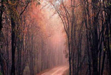 美国高山滑雪名将沃恩宣布复出：剑指2026年冬奥会2025-02-06.