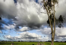 球友会官网：[高尔夫]亚巡国际系列赛澳门站3月打响 前三可获大满贯资格.