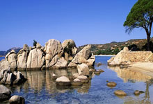 球友会官网：冬奥冠军隋文静复出，将积极备赛米兰冬奥会人民日报客户端.